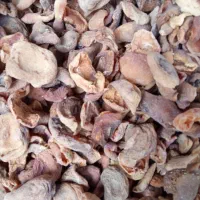 برگه زردآلو یک دست ترش و ملس