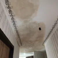 گچ کاری و لکه گیری