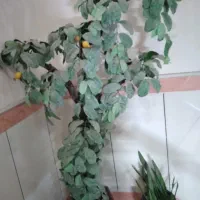 شلف ودرخت انار|گل مصنوعی|قم, باجک یک|دیوار