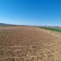 فروش ۱ هکتار در باغستان کهک تاکستان|فروش دفتر صنعتی، کشاورزی، تجاری|کرج, باغستان|دیوار