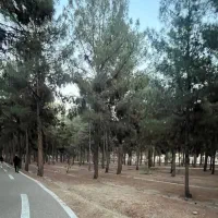 فروش باغچه چهاردیواری شده