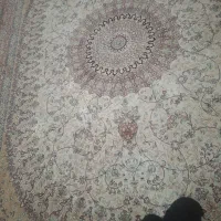 فرش12متری زمینه کرم|فرش|نیشابور, مدرس|دیوار