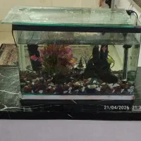 آکواریوم شرکتی شیشه خم