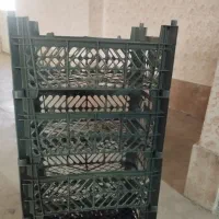 سبد میوه باغ