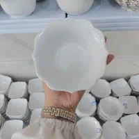 انواع پیاله اجیل خوری و ...