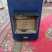 بخاری کفسولی سالم سالم است زمانتی ابسال