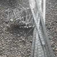 رگال دیواری