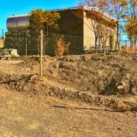 فروش باغ با کلبه کوهستانی در ییلاق بینق