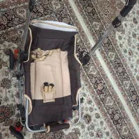 کالسکه دلیجان|کالسکه و لوازم جانبی|بهارستان, |دیوار