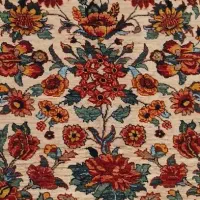 نظافت منزل و مراقبت از سالمند