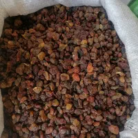 کشمش|خوردنی و آشامیدنی|سنندج, |دیوار