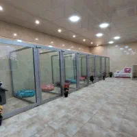 پانسیون سگ طولانی مدت