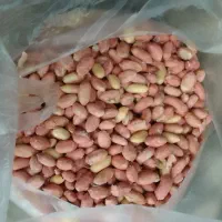 فروش بادام زمینی ممتاز|خوردنی و آشامیدنی|تهران, یافت آباد شمالی|دیوار