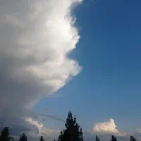 فروش فیش حج عمره