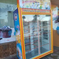 یخچال ایستاده ویترینی