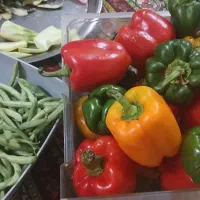 غذای خانگی