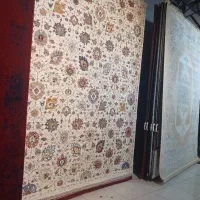 فرش شاه نشین کیفیت و ارزانی را تجربه کنید|فرش|شیراز, فرهنگیان|دیوار