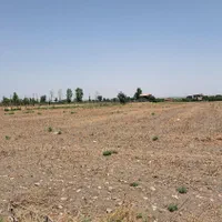 ۳ هزار متر زمین کشاورزی جاده هاشم آباد