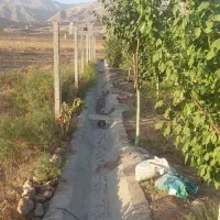 باغ روستای دشت