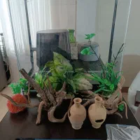 آکواریوم شیشه خم شرکتی