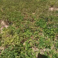 اجاره انبار بزرگ و مرتب