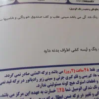 فروش ۲۰۶ تیپ ۳|خودرو سواری و وانت|اصفهان, صدف|دیوار