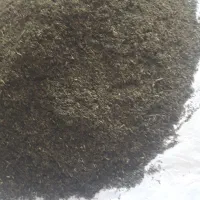 سبزی