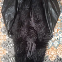 نو هستش خز دار