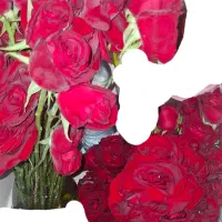 گل رز (دانه ای و دسته ای)