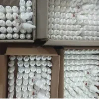 قطره شپش
