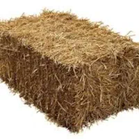 فروش کولش