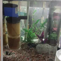 آکواریوم تمیز و نو