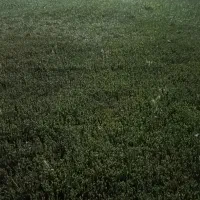 اندیشه ویلایی