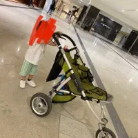 کالسکه و کزیر مکسی کوزی کویینی