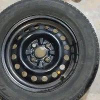 لاستیک ساینا  14