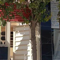 رهن واحد دوخوابه120متری کوچه روزگار تک واحدی|اجارهٔ آپارتمان|مرودشت, ابوذر شمالی‎|دیوار