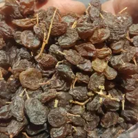 انگور  شانی دیم سردشت سیاه کشمش آفتابی میوه تالار|خوردنی و آشامیدنی|تهران, شهرک شریعتی|دیوار