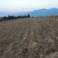 زمین-باغی-بر-خیابان-اصلی-کیااباد