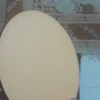 زیر کیکی تعداد