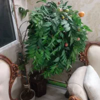 گل و گلدان مصنوعی|گل مصنوعی|تهران, زمزم|دیوار