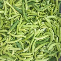 خیار تازه دیمی ۱۰۰ در۱۰۰  ارگانیک