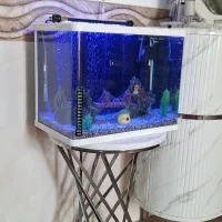 اکواریوم شیشه خم