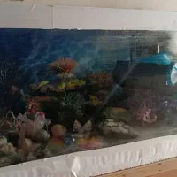 آکواریوم ماهی 80×35×35 با تمامی وسایل