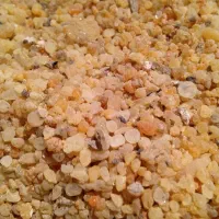 سقز مایع و دون خشک|خوردنی و آشامیدنی|پاسارگاد, |دیوار