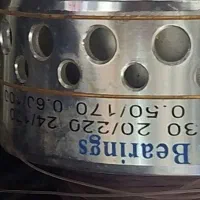 لنسرماهیگیری