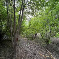 باغ مجوز دار با تمام مجوز رسمی از جهاد کشاورز