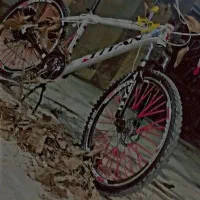 دوچرخه26|دوچرخه، اسکیت، اسکوتر|آشخانه, |دیوار