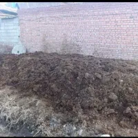 پهن گوسفند و گاو