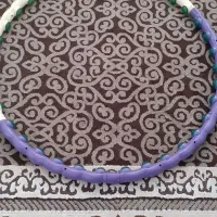 تابلو فرش و حلقه ورزشی|تابلو فرش|باشت, |دیوار