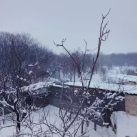 زمین